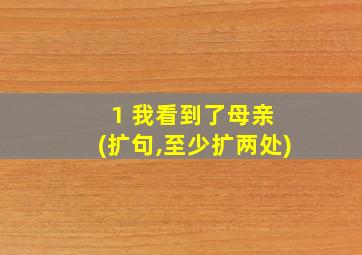 1 我看到了母亲 (扩句,至少扩两处)